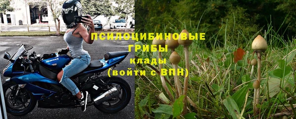 PSILOCYBIN Куйбышев